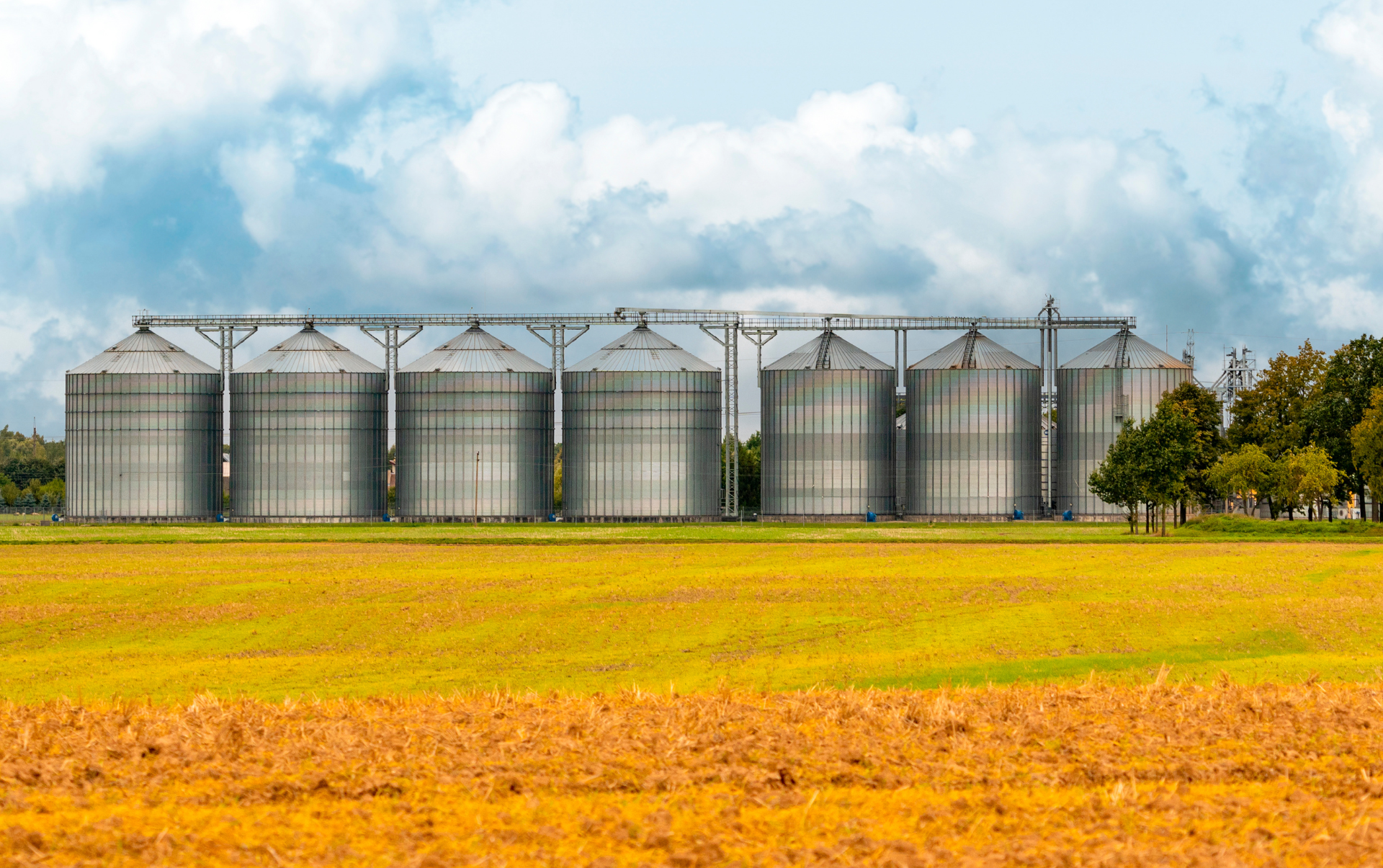 Recrutement agroalimentaire