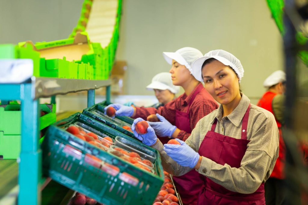 Secteur - Agroalimentaire 