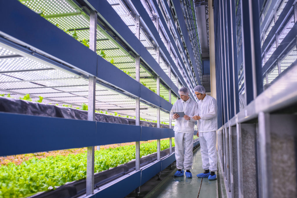 fmi_secteur_agroalimentaire